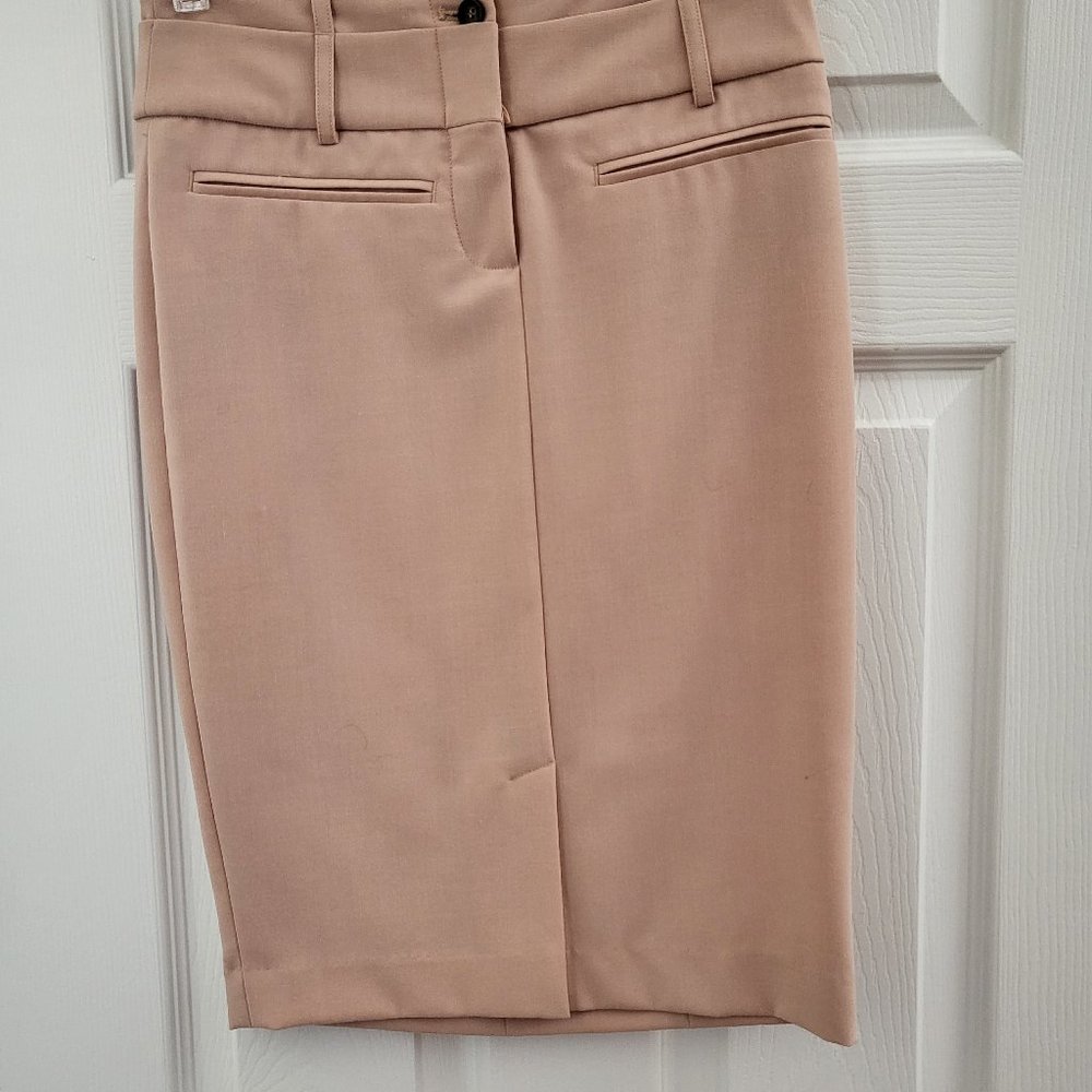 Pencil Skirt
